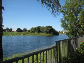 View_6252