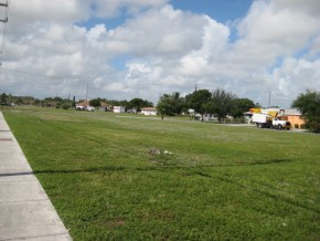 IMG_6308 IMG_6308